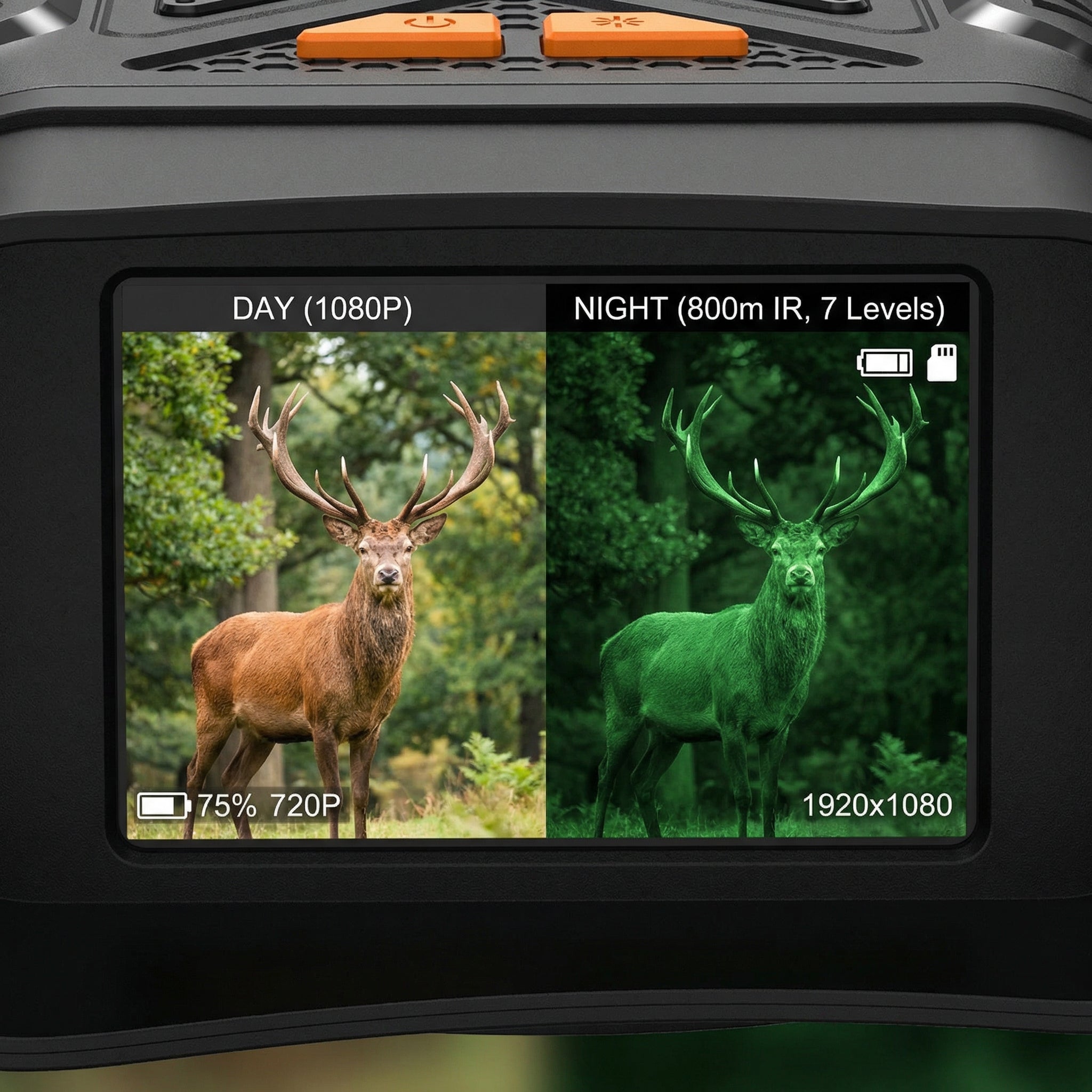 WildTrackr night vision binoculars infrared technology for wildlife observation