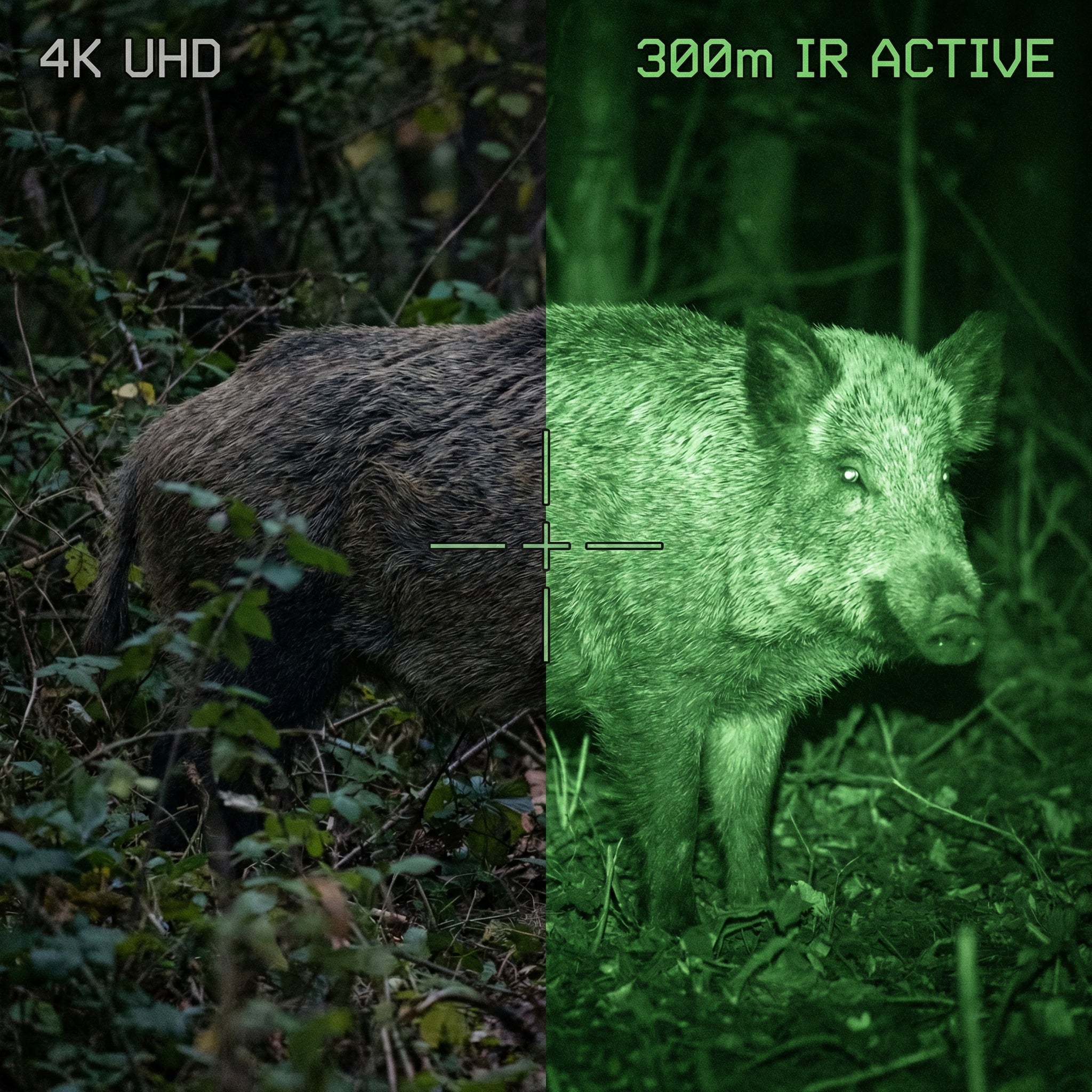 Infrared night vision binoculars 8x digital zoom for hunting | WildTrackr