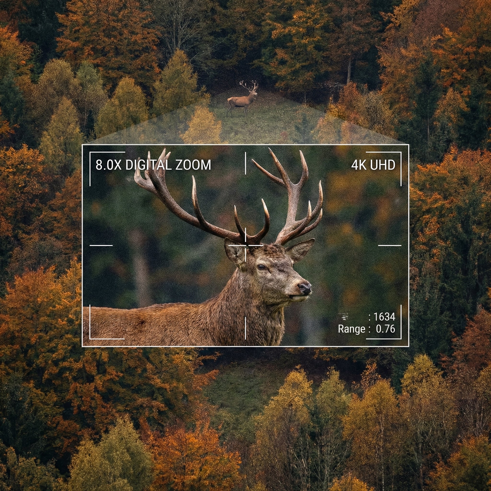 4K Compact Night Vision Binoculars - 8X Digital Zoom